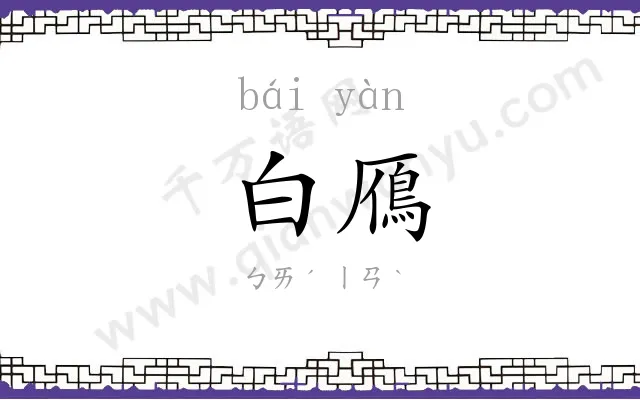 白鴈