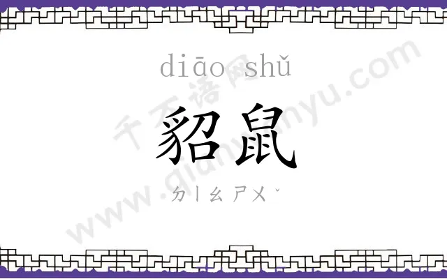 貂鼠