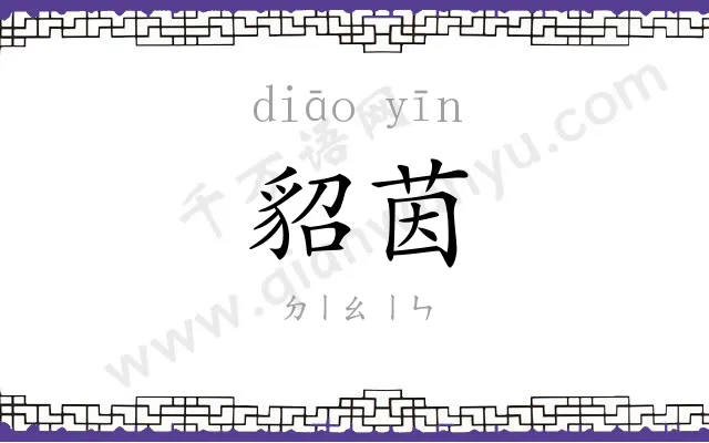 貂茵