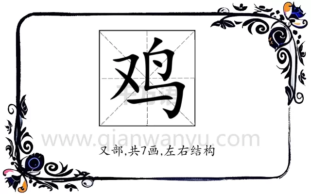 鸡