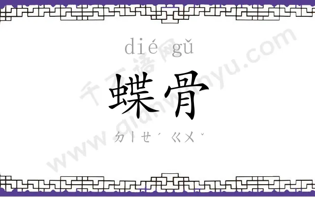 蝶骨