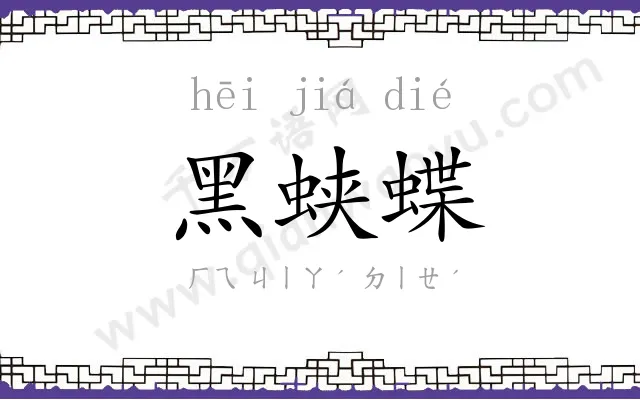 黑蛱蝶