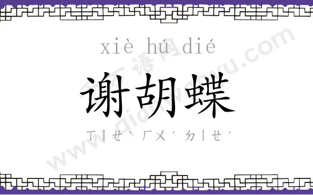 谢胡蝶