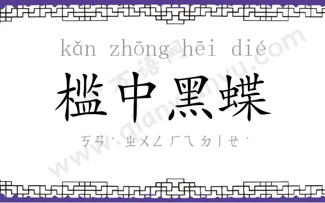 槛中黑蝶