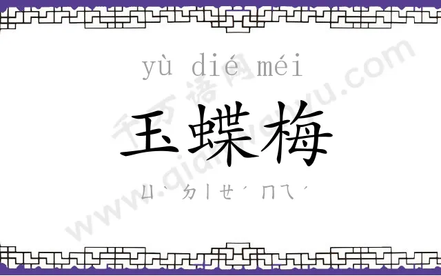 玉蝶梅