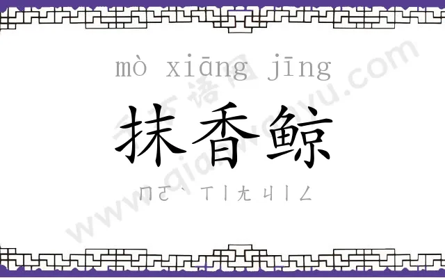 抹香鲸