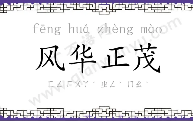 风华正茂