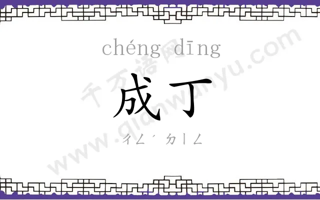 成丁