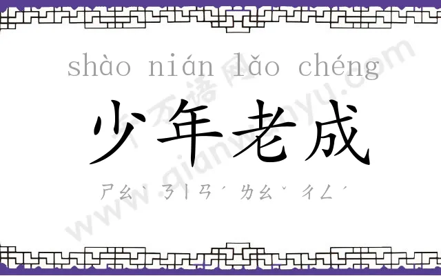 少年老成
