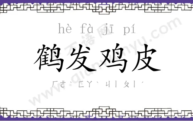 鹤发鸡皮