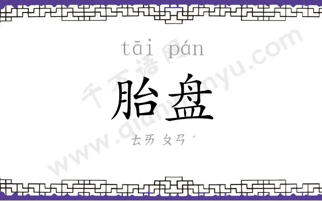 胎盘