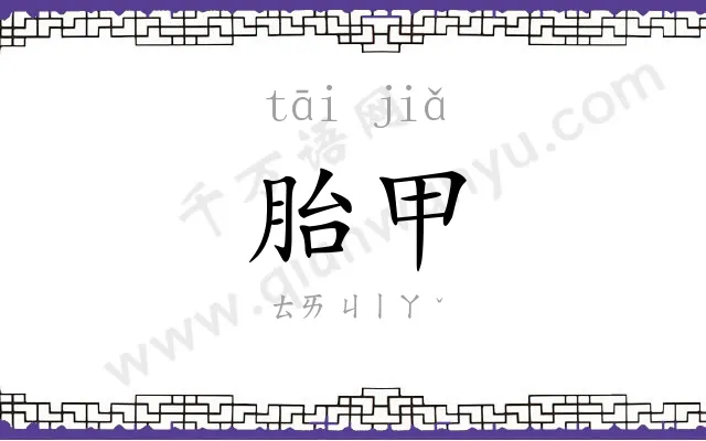 胎甲