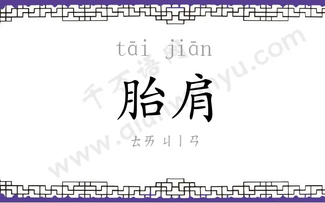 胎肩
