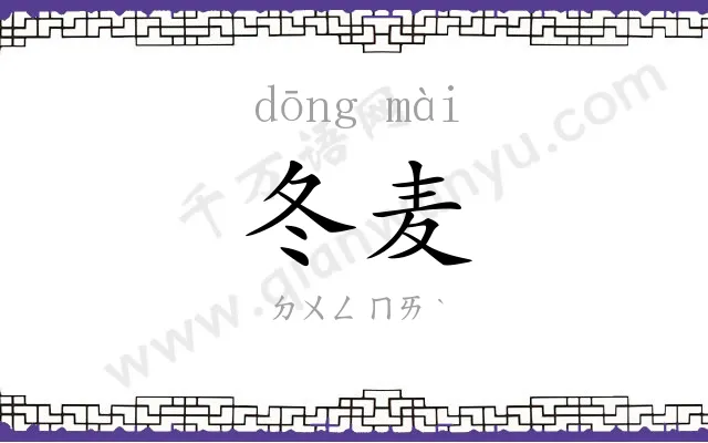 冬麦