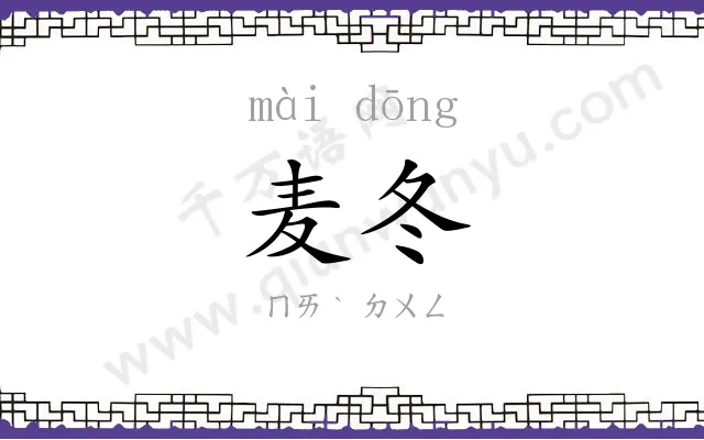 麦冬