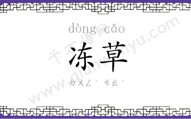 冻草