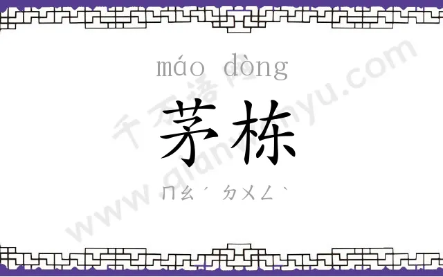 茅栋