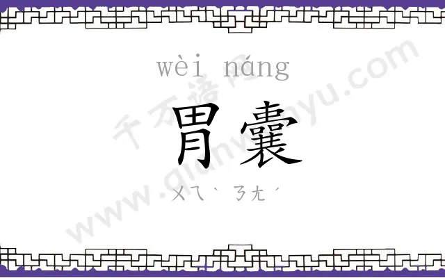 胃囊