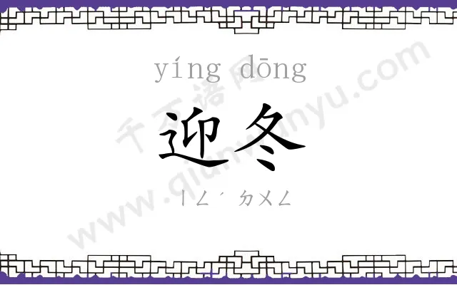 迎冬