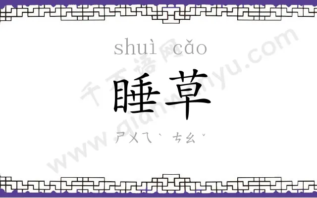 睡草