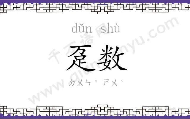 趸数