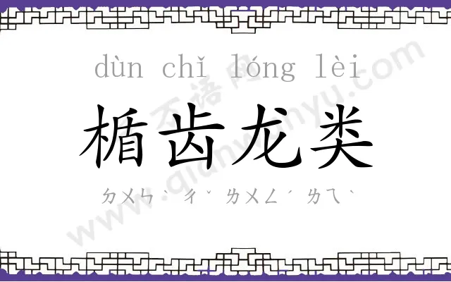楯齿龙类