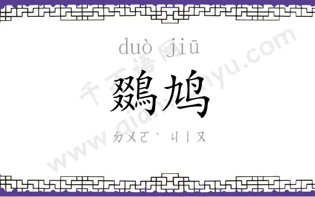 鵽鸠