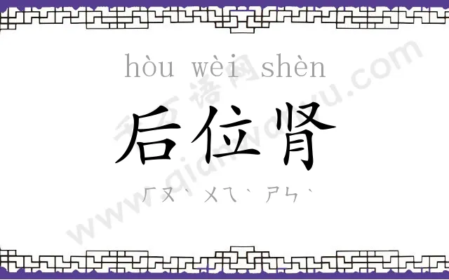 后位肾