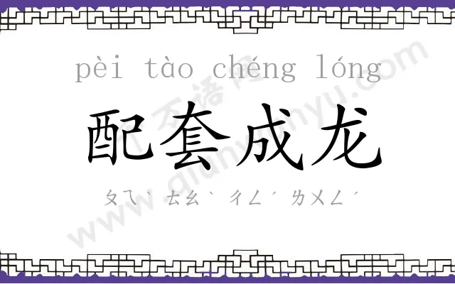 配套成龙
