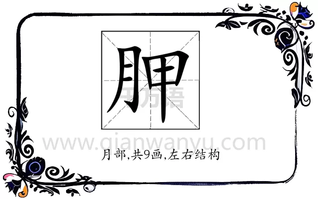 胛