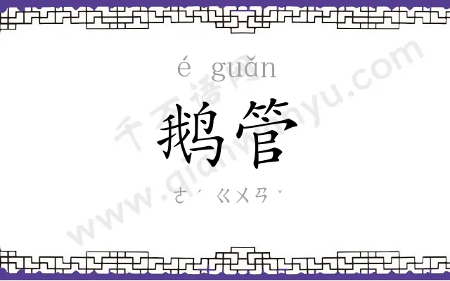 鹅管