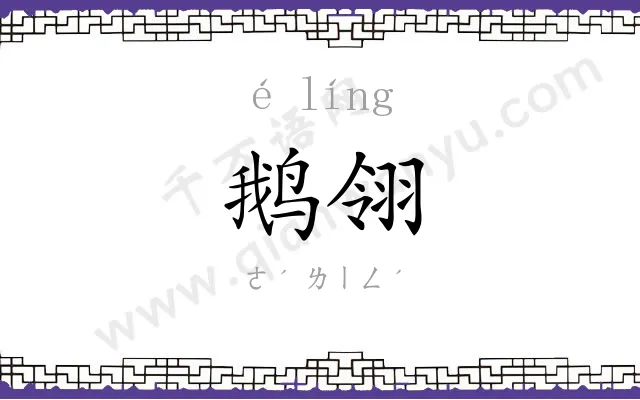 鹅翎