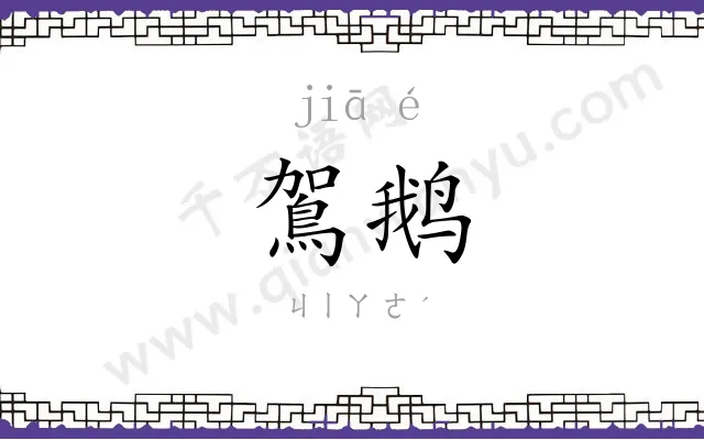 鴐鹅