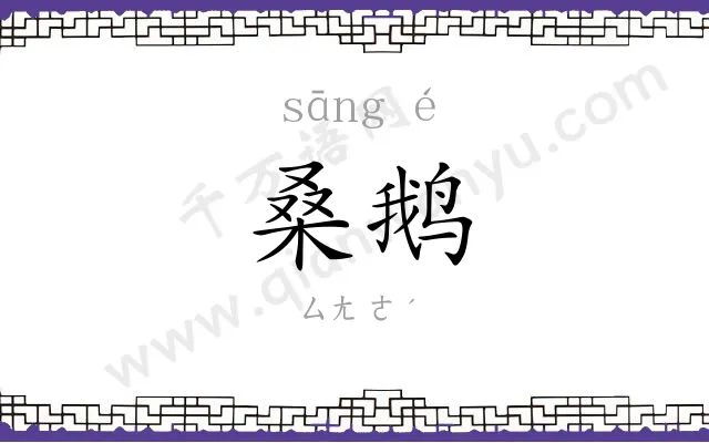 桑鹅