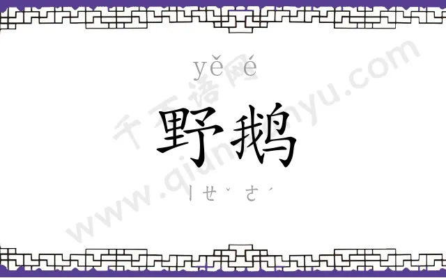 野鹅