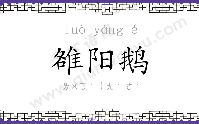 雒阳鹅