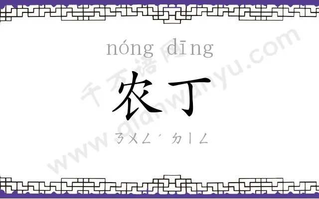 农丁