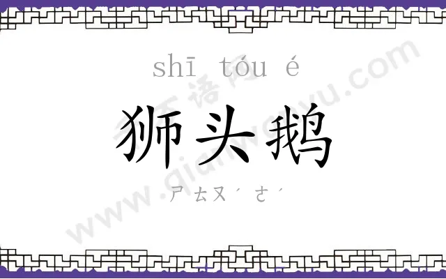 狮头鹅
