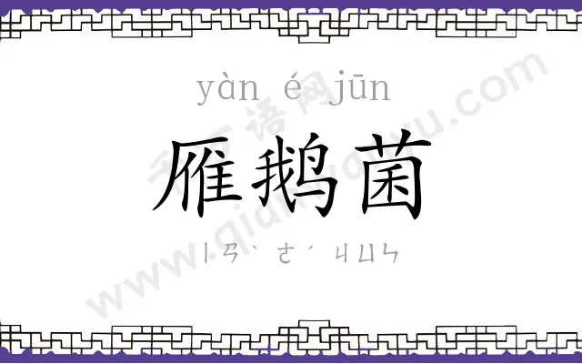 雁鹅菌