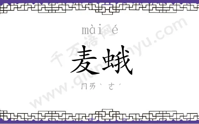 麦蛾