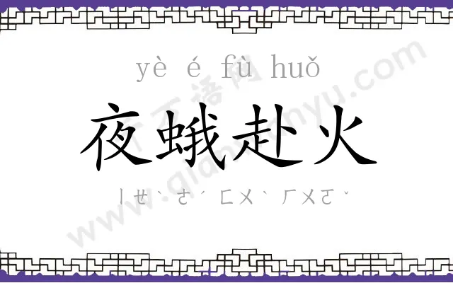 夜蛾赴火