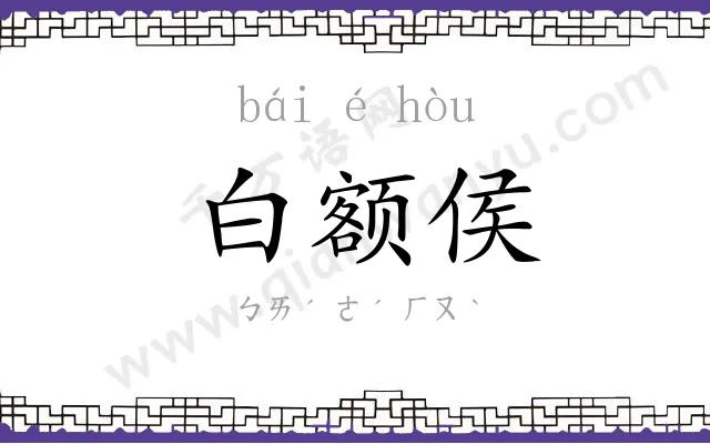 白额侯