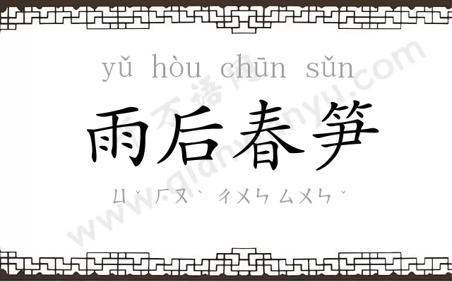 雨后春笋