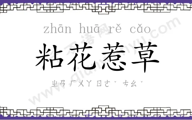 粘花惹草