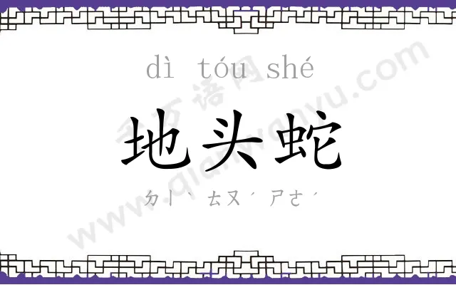 地头蛇
