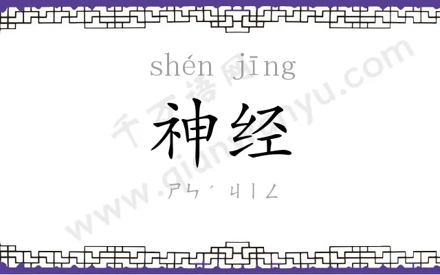 神经