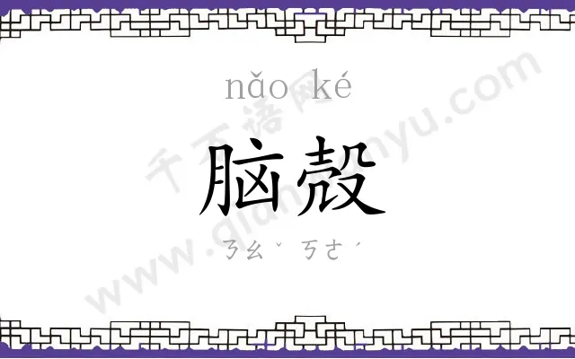脑殻
