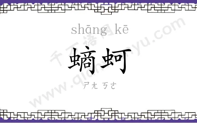 螪蚵