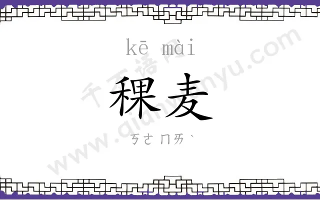稞麦
