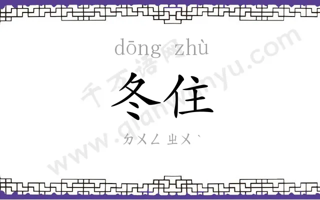 冬住